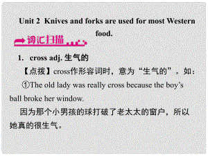 浙江省嘉興市秀洲區(qū)九年級(jí)英語(yǔ)下冊(cè) Module 6 Unit 2 Knives and forks are used for most Western food課件 （新版）外研版