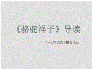 內(nèi)蒙古鄂爾多斯市康巴什新區(qū)七年級語文下冊 第三單元 名著導(dǎo)讀駱駝祥子導(dǎo)讀課件 新人教版