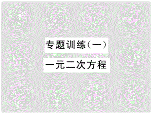 九年級(jí)數(shù)學(xué)下冊(cè) 專題訓(xùn)練1 一元二次方程作業(yè)課件 （新版）北師大版