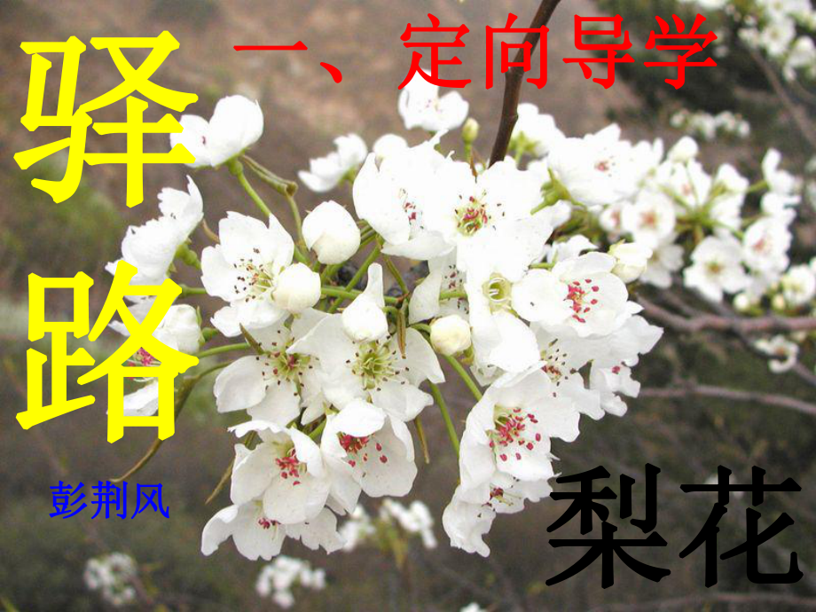 江西省尋烏縣七年級(jí)語(yǔ)文下冊(cè) 第四單元 第14課《驛路梨花》課件2 新人教版_第1頁(yè)