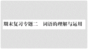 九年級(jí)語(yǔ)文上冊(cè) 期末復(fù)習(xí)二 詞語(yǔ)的理解與運(yùn)用習(xí)題課件 新人教版