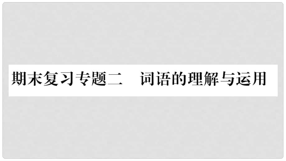 九年級(jí)語文上冊(cè) 期末復(fù)習(xí)二 詞語的理解與運(yùn)用習(xí)題課件 新人教版_第1頁