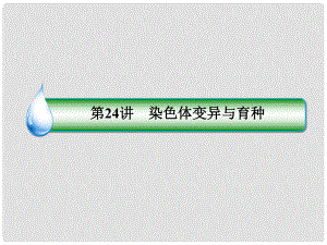 高考生物一輪復(fù)習 12724 染色體變異與育種課件