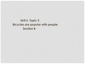 八年级英语下册 Unit 6 Topic 3 sectionb课件 湘教版