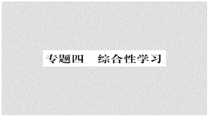 九年級語文上冊 專題四 綜合性學習習題課件 新人教版