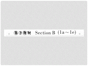 八年級英語上冊 Unit 1 Where did you go on vacation（第3課時）Section B（1a1e）習(xí)題課件 （新版）人教新目標版