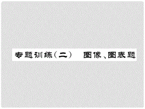 九年級(jí)化學(xué)下冊(cè) 專題訓(xùn)練2 圖像、圖表題作業(yè)課件 （新版）新人教版