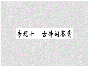 七年級語文上冊 專題十 古詩詞鑒賞習(xí)題課件 新人教版