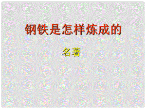 河南省濮阳市中考语文 专题复习《钢铁是怎样炼成的》课件