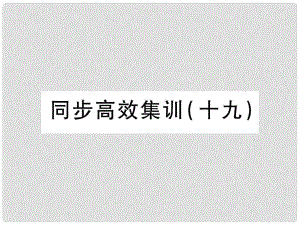 中考地理 同步高效集訓(xùn)（十九）課件