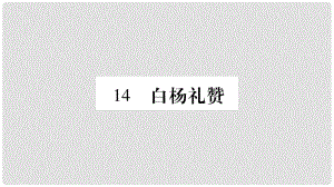 八年級(jí)語文上冊(cè) 第4單元 14 白楊禮贊習(xí)題課件 新人教版