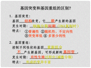 高中生物 第五章 基因突變及其他變異 第02節(jié) 染色體變異課件 新人教版必修2