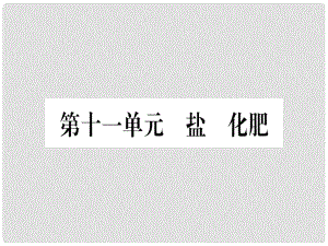 中考化學總復習 第1部分 教材系統(tǒng)復習 九下 第11單元 鹽 化肥（精練）課件