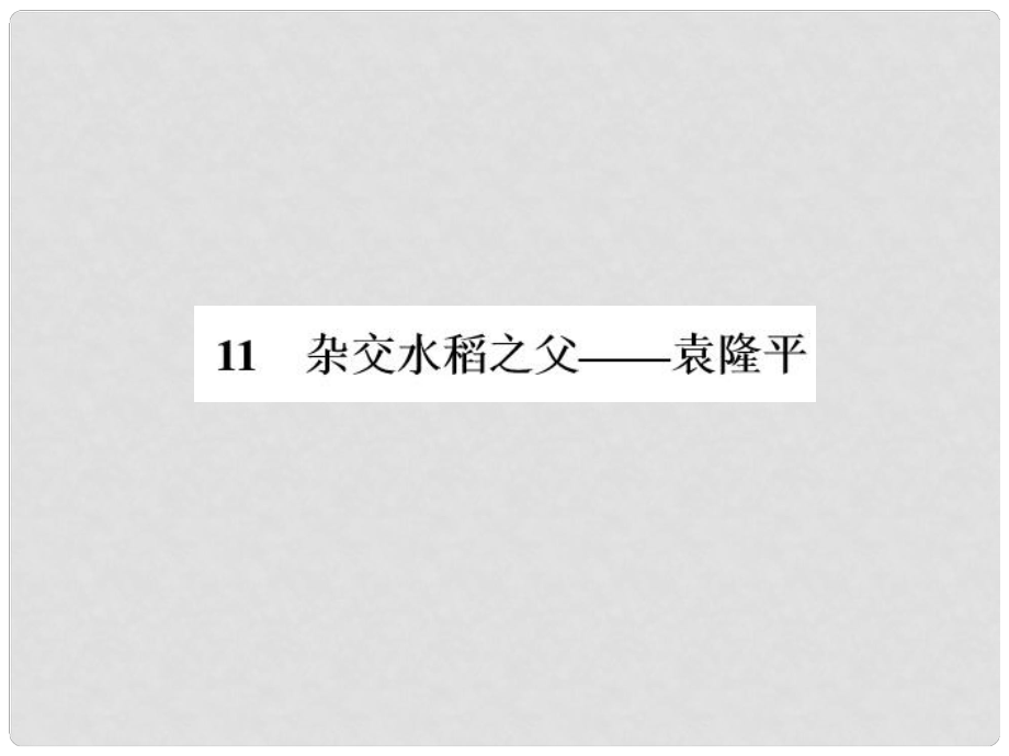 八年級語文上冊 第三單元 11 雜交水稻之父 袁隆平習(xí)題課件 語文版_第1頁