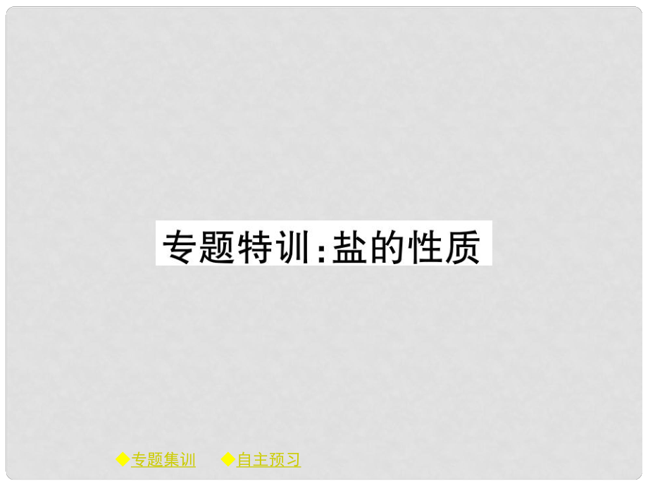 九年级化学下册 第十一章 盐 化肥 专题特训 盐的性质课件 （新版）新人教版_第1页