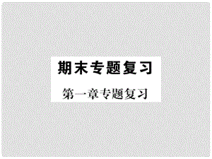 七年級(jí)地理上冊(cè) 第一章 地球和地圖復(fù)習(xí)課件 （新版）新人教版