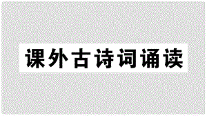 九年級(jí)語(yǔ)文下冊(cè) 第六單元《課外古詩(shī)詞誦讀》習(xí)題課件 新人教版1