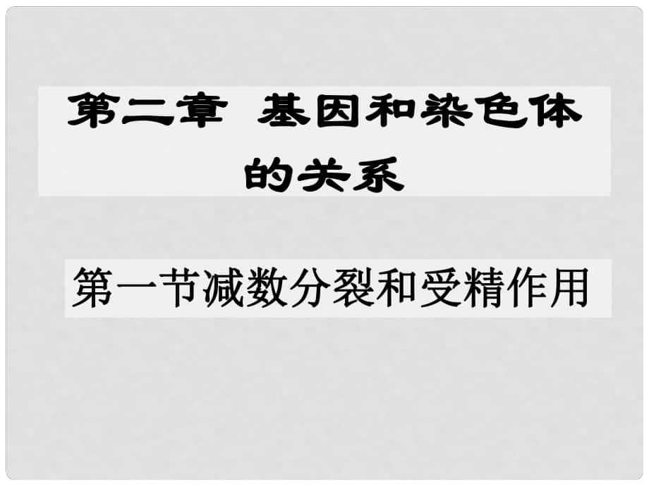 高中生物 第二章 基因和染色體的關(guān)系 第01節(jié) 減數(shù)分裂（2）課件 新人教版必修2_第1頁(yè)