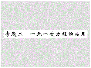 七年級(jí)數(shù)學(xué)下冊(cè) 專題二 一元一次方程的應(yīng)用習(xí)題課件 （新版）華東師大版