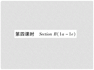 九年級英語全冊 Unit 13 We’re trying to save the earth（第4課時）Section B（1a1e）作業(yè)課件 （新版）人教新目標版