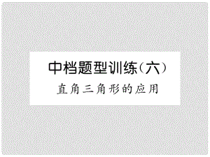 中考數(shù)學總復習 第二編 中檔題型突破專項訓練篇 中檔題型專訓（6）直角三角形的應用課件