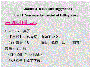 浙江省嘉興市秀洲區(qū)九年級英語下冊 Module 4 Unit 1 You must be careful of falling stones課件 （新版）外研版