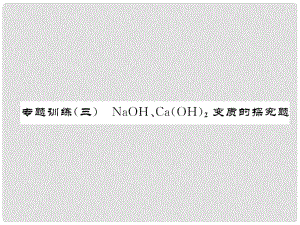 九年級化學下冊 專題訓練3 NaOH、Ca(OH)2變質的探究作業(yè)課件 （新版）新人教版