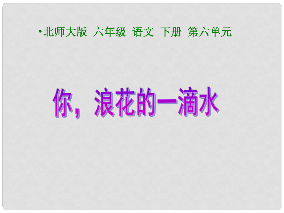 六年级语文下册 你浪花的一滴水1课件 北师大版_第1页