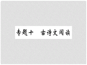 八年級(jí)語(yǔ)文上冊(cè) 專題十 古詩(shī)文閱讀習(xí)題課件 新人教版