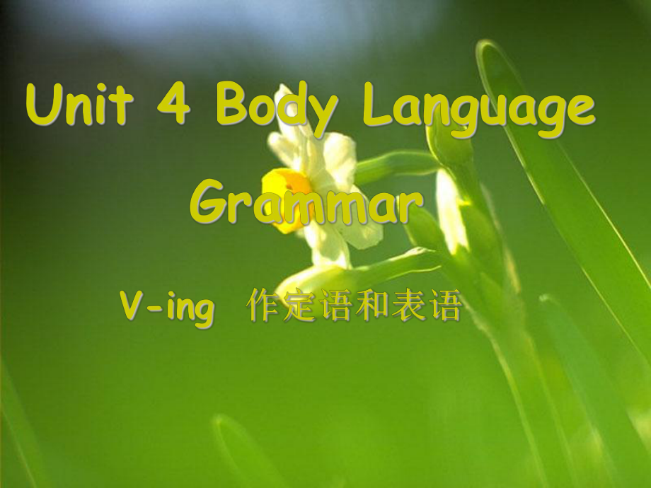 广东省中山市高中英语 Unit 4 Body language（1）课件 新人教版必修4_第1页