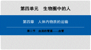 七年級(jí)生物下冊(cè) 第四單元 第四章 第二節(jié) 血流的管道──血管課件 （新版）新人教版