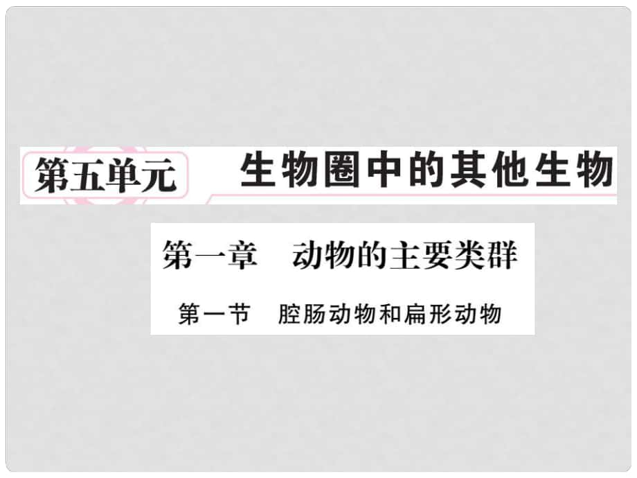 八年级生物上册 第五单元 第一章 第一节 腔肠动物和扁形动物习题课件 （新版）新人教版_第1页