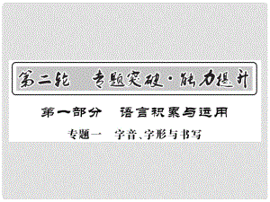 中考語文二輪復(fù)習 專題突破講讀 第1部分 語言積累與運用 專題一 字音 字形與書寫課件