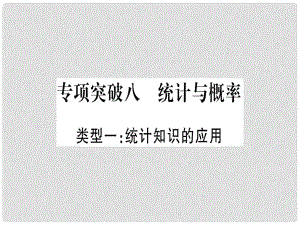 中考數(shù)學(xué)總復(fù)習(xí) 第二輪 中檔題突破 專項突破8 統(tǒng)計與概率課件 新人教版