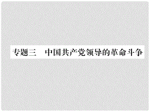 中考歷史復習 第2部分 熱點專題速查 專題3 中國共產(chǎn)黨領導的革命斗爭課件