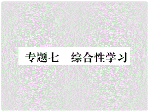 九年級語文上冊 專題7 綜合性學習習題課件 新人教版