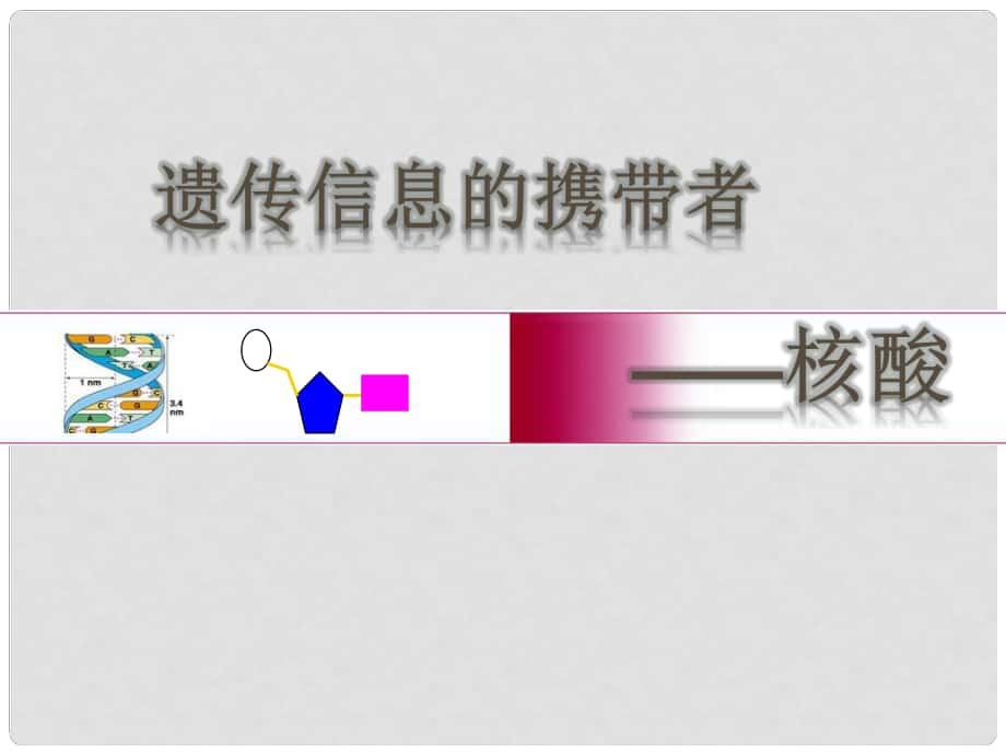 福建省壽寧縣高中生物 第二章 遺傳信息的攜帶者——核酸課件 新人教版必修1_第1頁