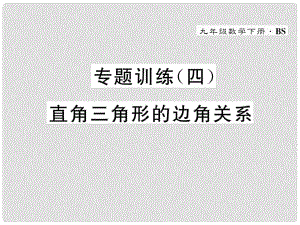 九年級數(shù)學下冊 專題訓練4 直角三角形的邊角關系作業(yè)課件 （新版）北師大版