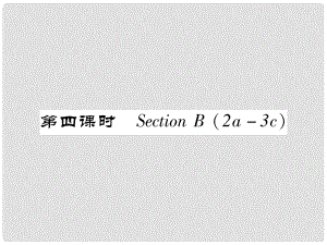 七年級英語下冊 Unit 7 It's raining（第4課時）Section B（2a3c）習(xí)題課件 （新版）人教新目標(biāo)版