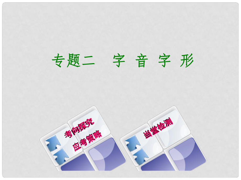 中考语文 第一部分 积累与运用 专题二 字音与字形复习课件_第1页