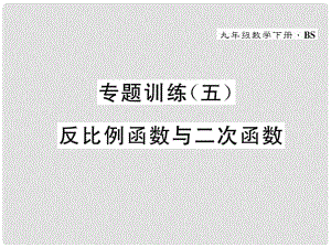 九年級數(shù)學(xué)下冊 專題訓(xùn)練5 反比例函數(shù)與二次函數(shù)作業(yè)課件 （新版）北師大版