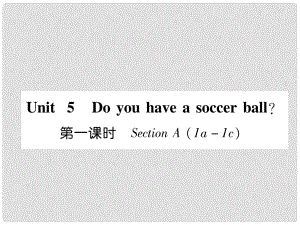 七年級英語上冊 Unit 5 Do you have a soccer ball（第1課時）Section A（1a1c）課件 （新版）人教新目標版