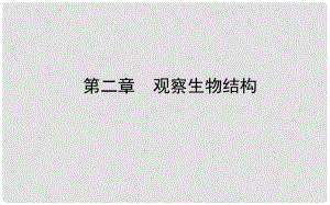 山東省濟南市中考生物 第一單元 奇妙的生命現(xiàn)象 第二章 觀察生物結(jié)構(gòu)課件