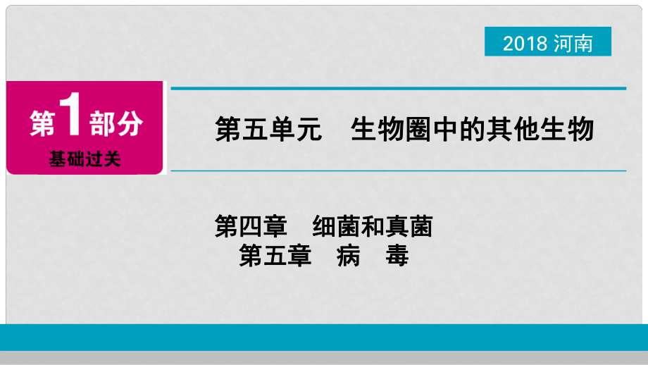 河南省中考生物总复习 第1部分 第5单元 第4章 第5章 细菌和真菌、病毒课件_第1页