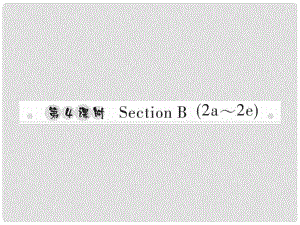 八年級(jí)英語上冊 Unit 6 I’m going to study computer science（第4課時(shí)）Section B（2a2e）習(xí)題課件 （新版）人教新目標(biāo)版