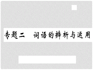 八年級語文上冊 專題二 詞語的辨析與運用習(xí)題課件 新人教版