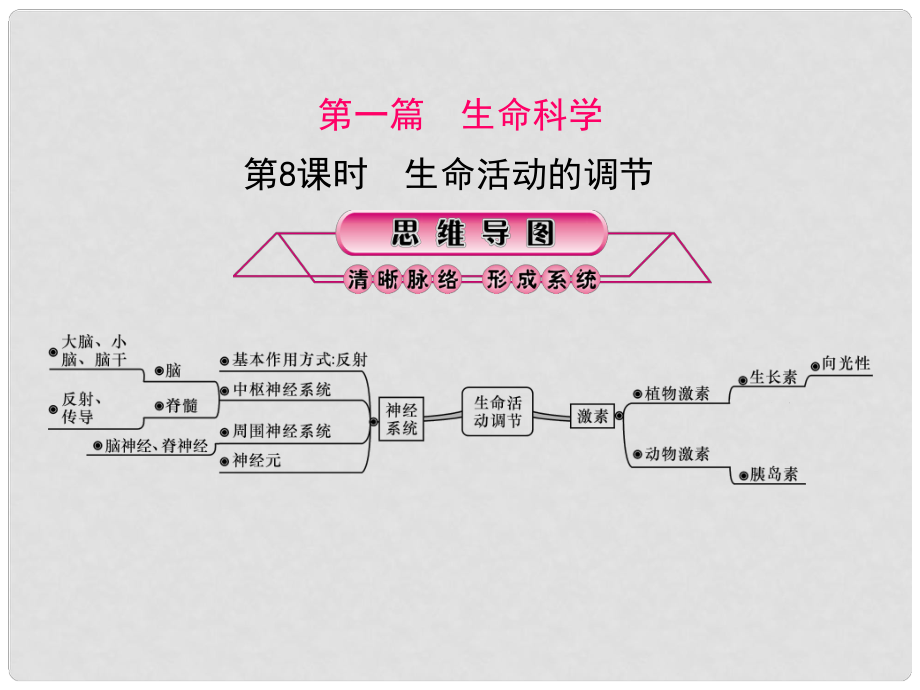 浙江省中考科學(xué)復(fù)習(xí) 第一篇 生命科學(xué) 第8課時(shí) 生命活動(dòng)的調(diào)節(jié)課件_第1頁(yè)