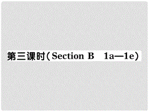 河北省石家莊市贊皇縣九年級(jí)英語全冊(cè) Unit 14 I remember meeting all of you in Grade 7（第3課時(shí)）習(xí)題課件 （新版）人教新目標(biāo)版