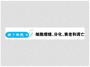 高中生物 第5單元 細胞增殖、分化、衰老和凋亡 第1課時 細胞增殖復習課件 蘇教版必修1