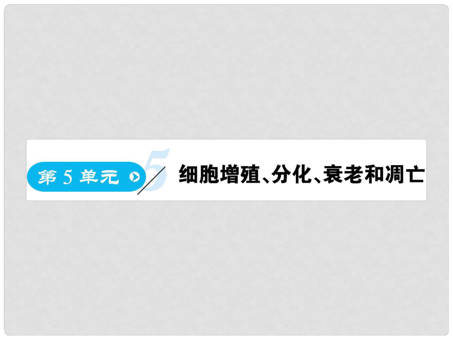 高中生物 第5單元 細(xì)胞增殖、分化、衰老和凋亡 第1課時(shí) 細(xì)胞增殖復(fù)習(xí)課件 蘇教版必修1_第1頁(yè)